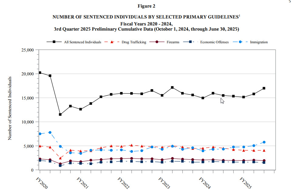 Sentenced Individuals by Type of Crime (2025)